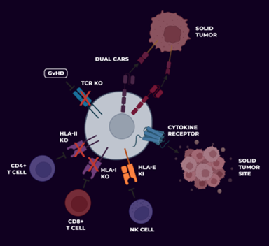 武田再度加码“被抛弃”的细胞疗法，CAR-NK或将在2029问世